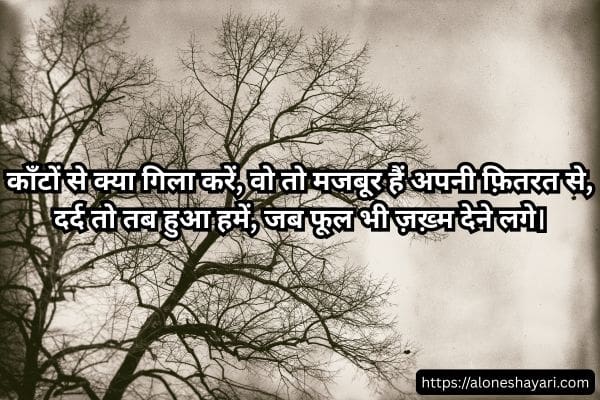Sad-Shayari-in