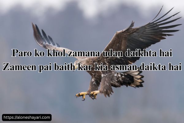 Motivational-Shayari